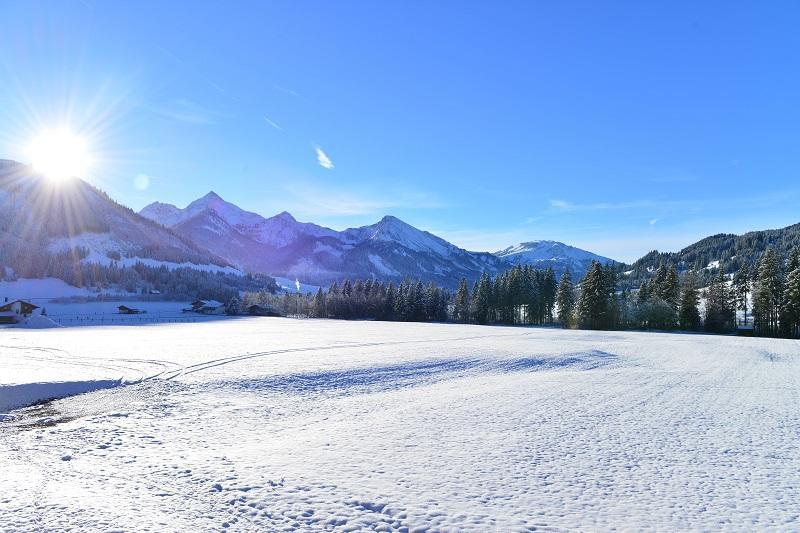 Sonn Alpin - Appartement
